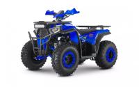 Квадроцикл Wels THUNDER Trail 200 синий