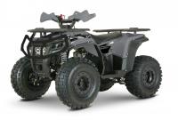 Квадроцикл YACOTA DRAGON LUX 125 черный
